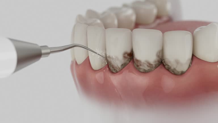 Reliable Dental contractor in Jamestown, NY by Dentist Open Now